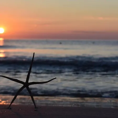 호텔 La Stella Marina 라이구에글리아